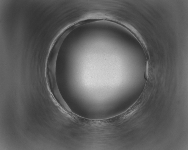 X0000083990815200702232109