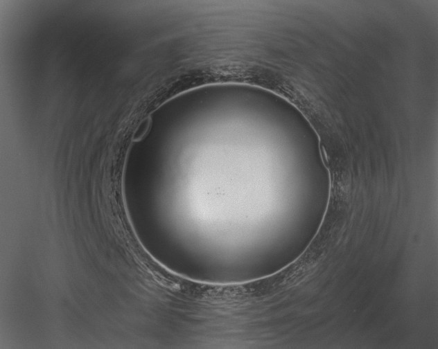 X0000083990817200702232108