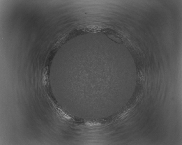 X0000083990818200702232108