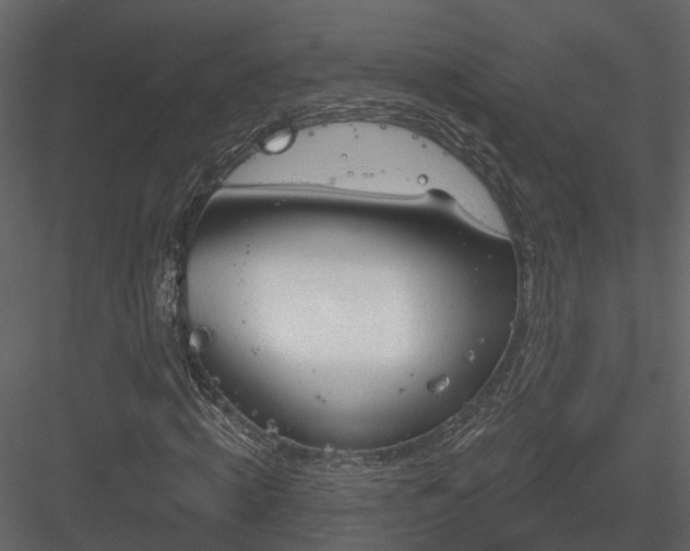 X0000083990820200702232108