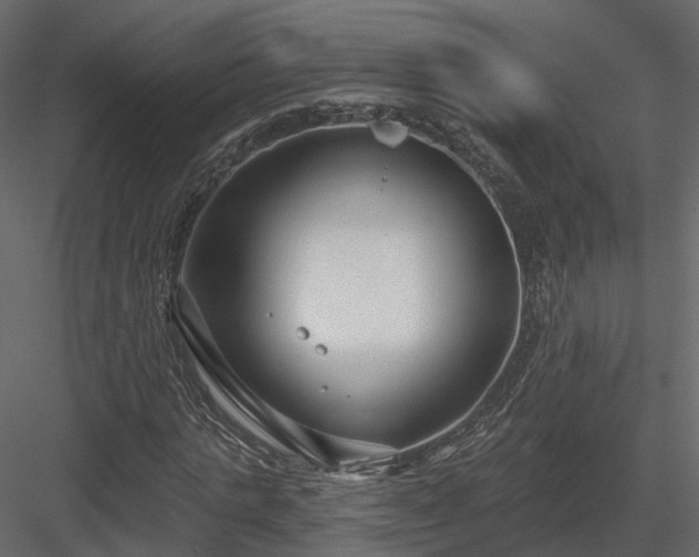 X0000083990821200702232108