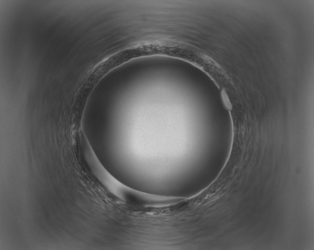 X0000083990822200702232109