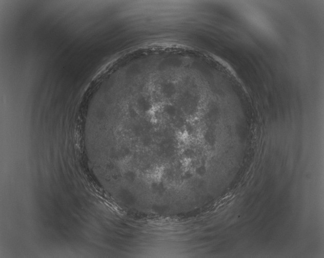 X0000083990823200702232109