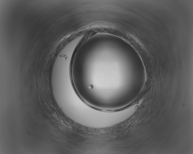 X0000083990824200702232109