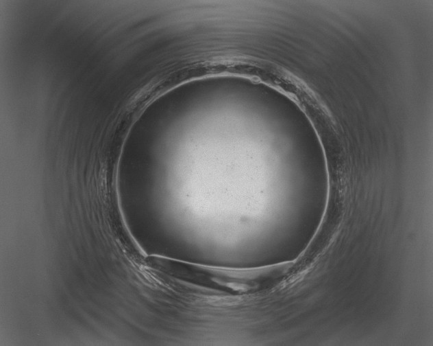 X0000083990825200702232109