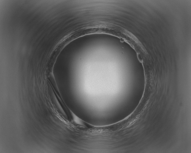 X0000083990826200702232109