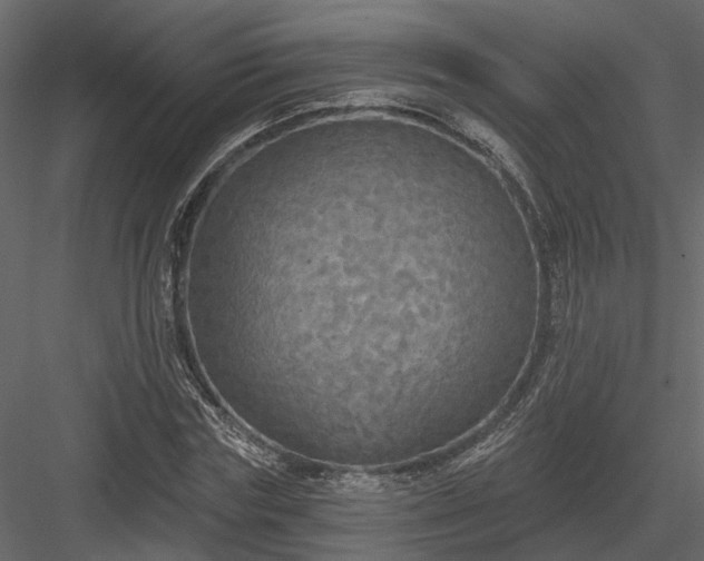 X0000083990827200702232109