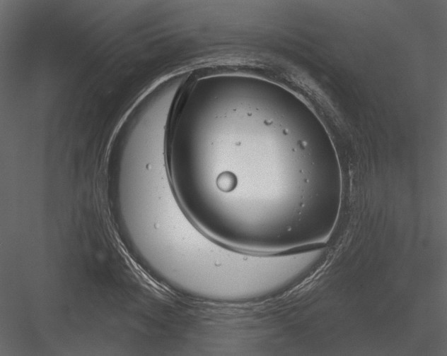 X0000083990828200702232109