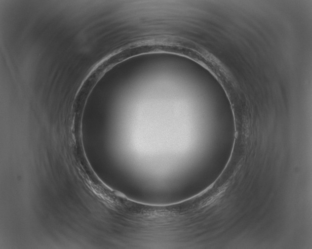 X0000083990830200702232109