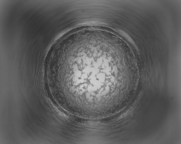 X0000083990831200702232109