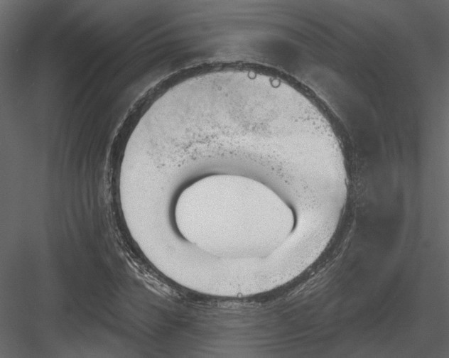 X0000083990832200702232109