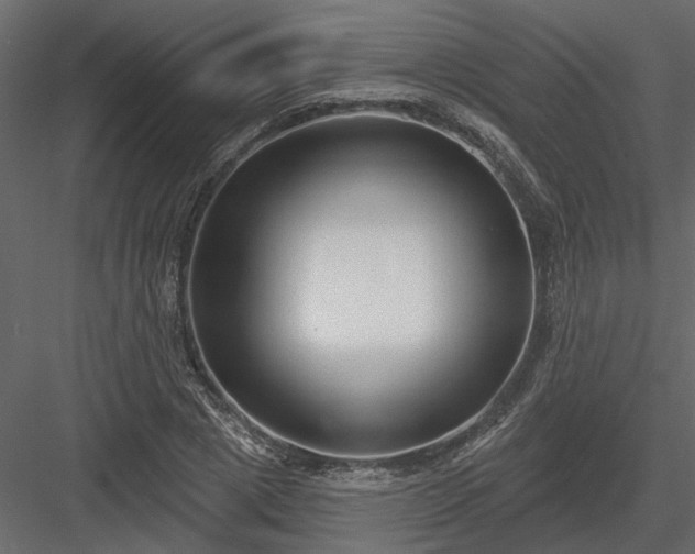 X0000083990833200702232109