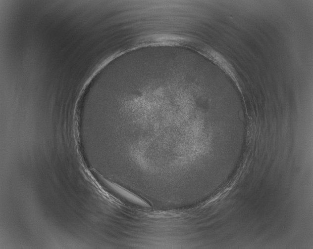 X0000083990835200702232109