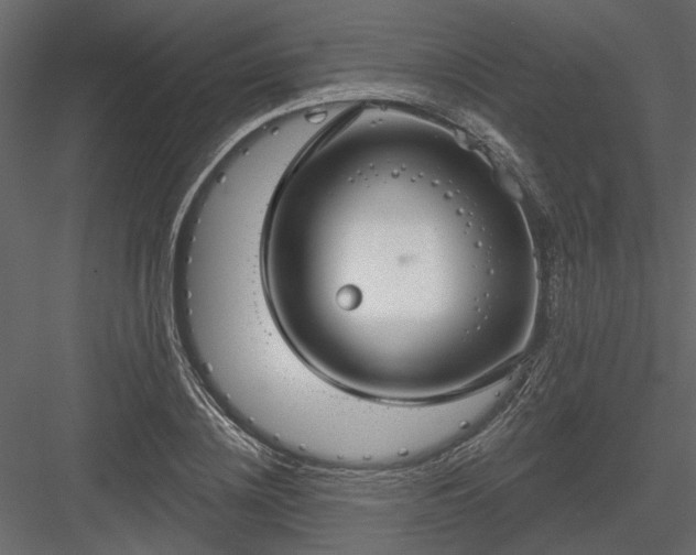 X0000083990836200702232109