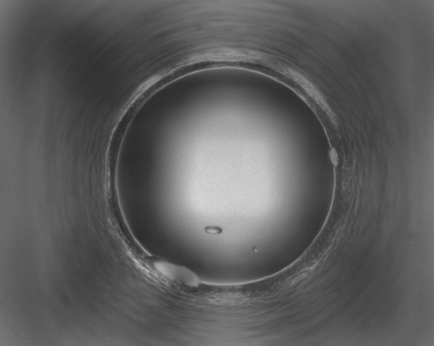 X0000083990837200702232109