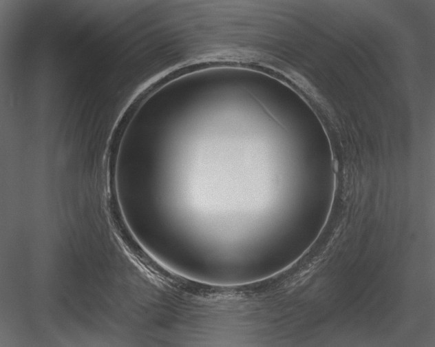 X0000083990838200702232109