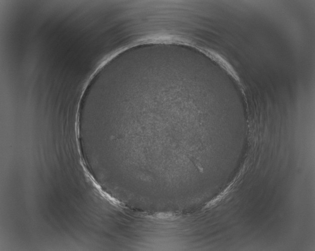 X0000083990839200702232109