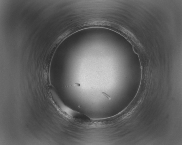 X0000083990841200702232109