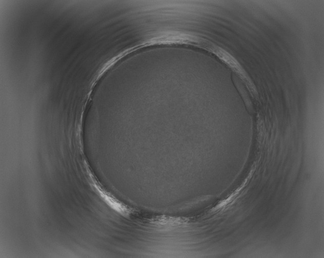 X0000083990842200702232109