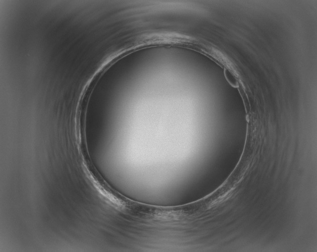 X0000083990843200702232109