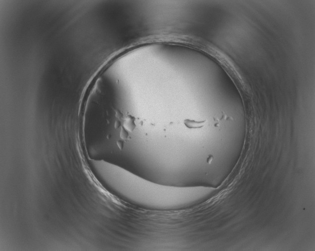 X0000083990844200702232109