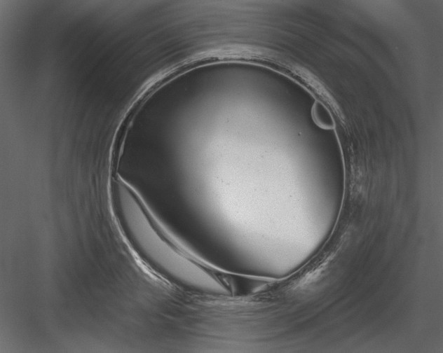 X0000083990845200702232109