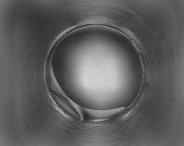 X0000083990846200702232109