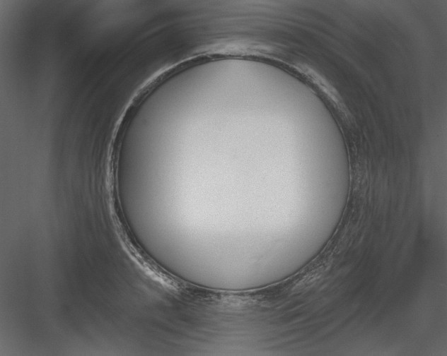 X0000083990848200702232109