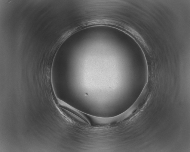 X0000083990849200702232109