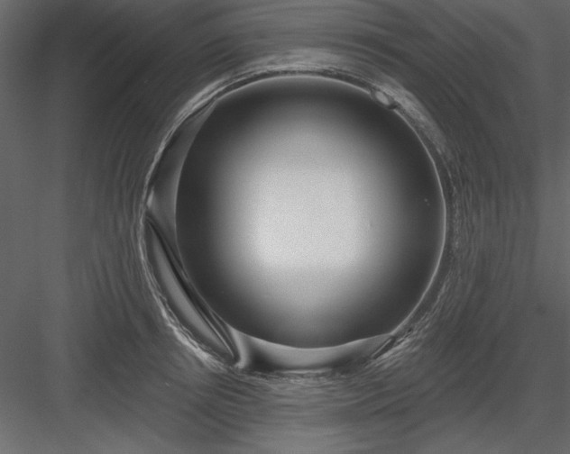 X0000083990850200702232109