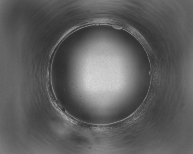 X0000083990852200702232109