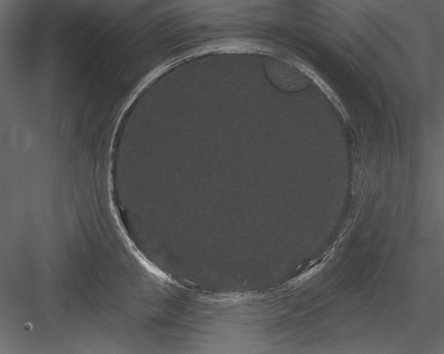 X0000083990853200702232109