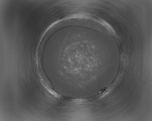 X0000083990854200702232109