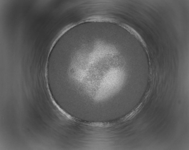 X0000083990855200702232109