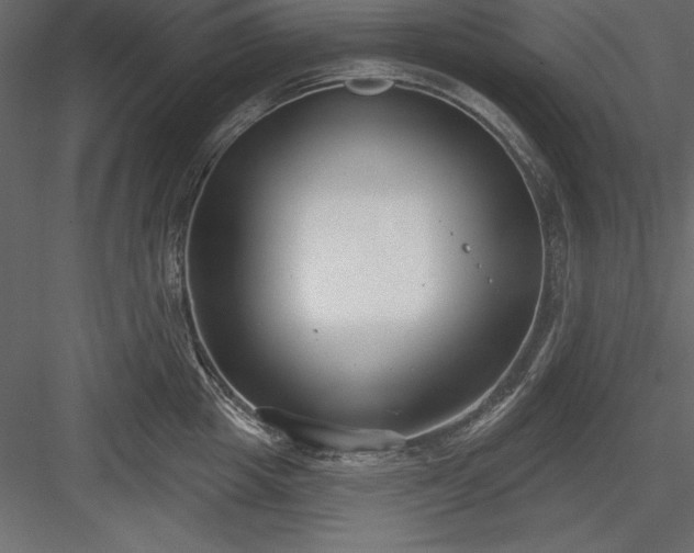 X0000083990857200702232109