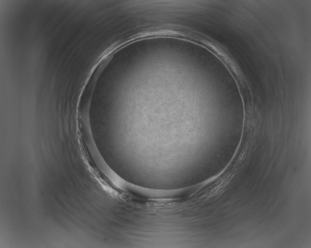 X0000083990858200702232109