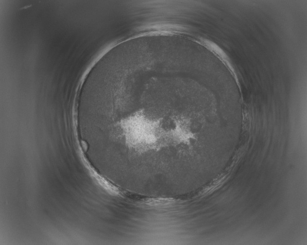 X0000083990859200702232109