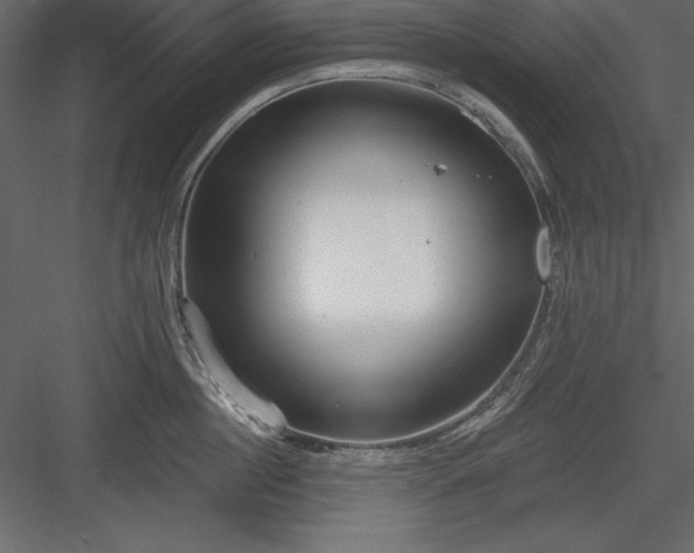 X0000083990860200702232109