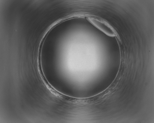 X0000083990861200702232109