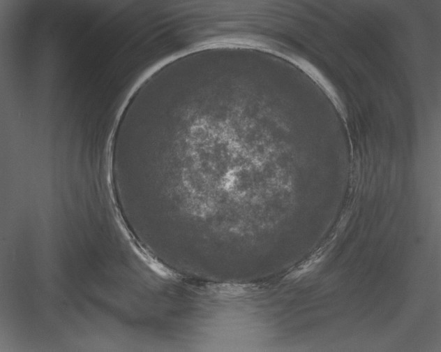 X0000083990862200702232109