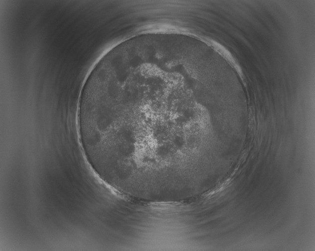 X0000083990863200702232109