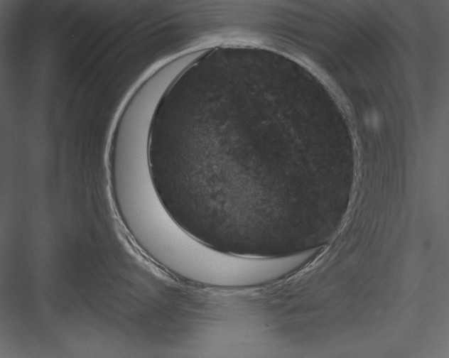 X0000083990864200702232109