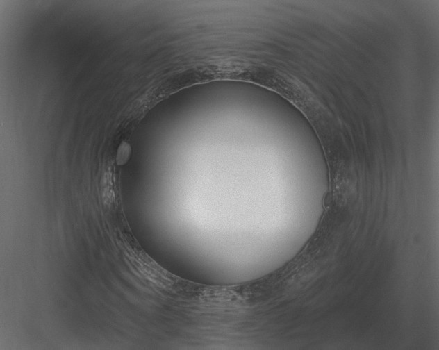 X0000083990866200702232108