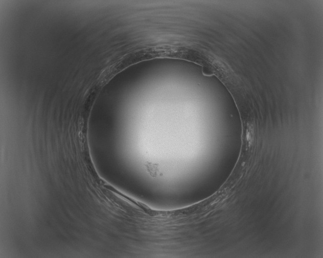 X0000083990867200702232108