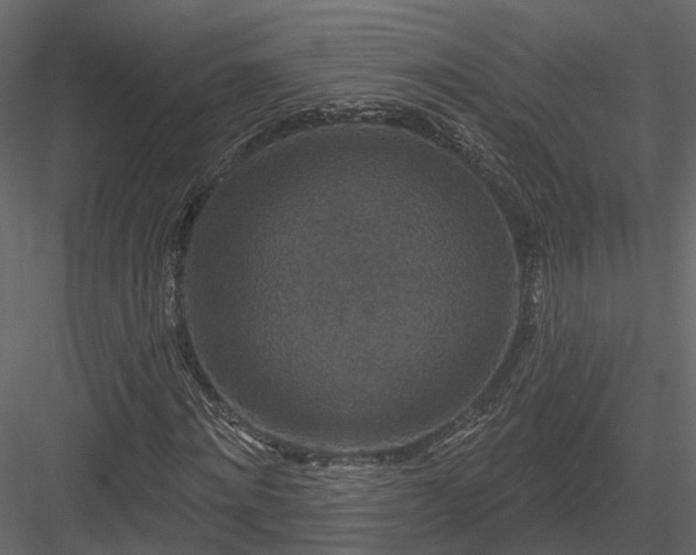 X0000083990868200702232108