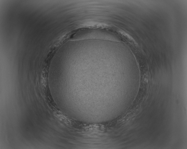 X0000083990869200702232108