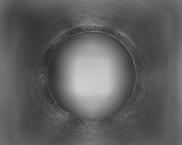 X0000083990870200702232108