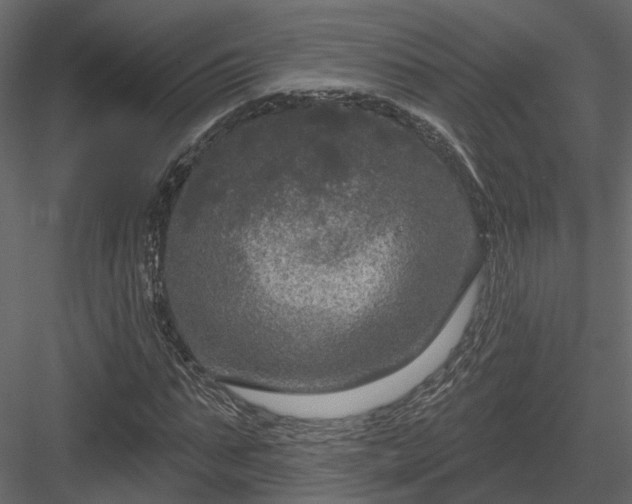 X0000083990871200702232108