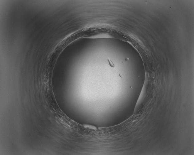 X0000083990872200702232108