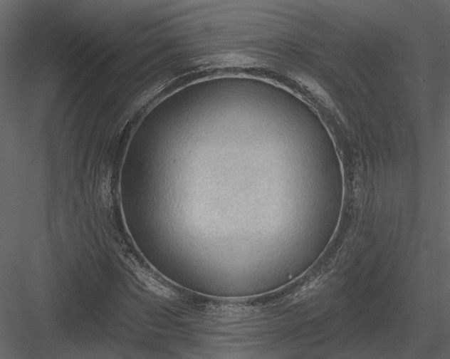 X0000083990873200702232108